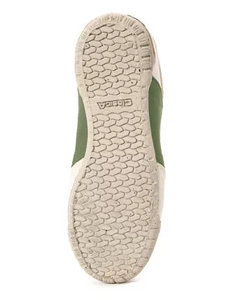 Women's Expedition Organic Hemp Canvas Lace-Up Sneaker White/Green